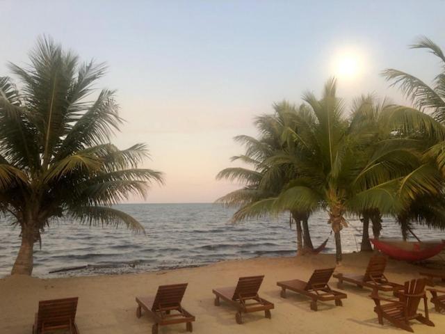 The White Horse Inn - Hopkins Village Beach Belize Bagian luar foto